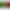 Телевизор LG 55QNED80B6B
