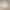 Вбудований холодильник Gorenje NRKI418EE1 - фото 13