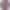 Apple Watch Series 10 GPS 46mm Rose Gold Aluminum Case w. Plum Sport Loop (MWWV3)  Open Box