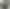 Чохол UAG для AirPods Pro (Gen 4, 2024) Scout Olive Drab (104130117272) - фото 1