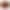 Чехол Sleek Skin AirPods Pro 2 - brown