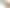 Чехол Moments Lovely для AirPods 3 Coffee