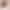 Фен Dyson HD18 Supersonic R Pro Ceramic Pink/Rose Gold (113332-01) - фото 2
