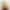 Apple iPhone 14 Pro 256GB Gold (MQ183) - фото 2