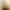 Apple iPhone 14 Pro Max 512GB Gold (MQAJ3) - фото 2
