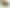 Конструктор Lego Botanicals Цветочная композиция (10345) - фото 1