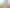 Конструктор Lego Ideas Коллекция насекомых (21342) - фото 1