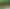 Конструктор Lego Minecraft Дворец испытаний (21271)