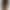 Конструктор Lego Botanicals Мини орхидея (10343) - фото 3