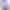Навушники Jlab JBuddies Studio Wireless Graphite/Purple (IEUHBSTUDIORGRYPRPL4)