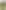 Професійний пилосос Karcher WD 3 V-19/6/20 (1.628-123.0) - фото 1