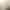 Портативная колонка Marshall Emberton III Cream (1006712) - фото 4