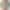 Ремінець Gear4 Apple Watch 42/44/45MM Orange/Olive Green