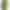 Фитнес-браслет Garmin Vivosport, E EU, Limelight (010-01789-23/03) (Official Refurbished)