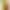 Смартфон Motorola Moto G85 12/256GB Olive Green (Global Version) EU