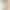 Смартфон Google Pixel 9 12/128GB Porcelain (Global Version)