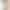 Смартфон Google Pixel 9 12/256GB Porcelain (Global Version)