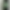 Смартфон OnePlus 13s 12/256GB Green Silk (CPH2723 India)