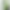 Смартфон OnePlus Ace 5 16/512GB Green (CN)