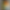 Смартфон Oukitel G5 4/256GB Orange