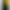 Смартфон Poco M7 Pro 5G 8/256GB Green (EU)