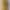 Смартфон ZTE Nubia Neo 2 5G 8/256GB Yellow