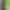 Смартфон Fossibot F105 4/64GB Green