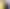 Смартфон POCO F7 Ultra 12/256GB Yellow (Global Version)