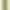 Смартфон Motorola Moto G86 8/256GB Golden Cypress (PB7L0115RS) (UA) - фото 4