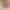 Холодильник Snaige FR24SM-PRDL0E - фото 4