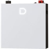 Акумуляторна батарея Dyness DL5.0C Pro (5,12 кВт*год / 51,2 В)