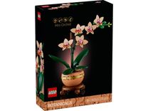 Конструктор Lego Botanicals Мини орхидея (10343)