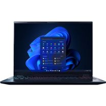 Ноутбук Acer Predator Helios Neo 16S AI PHN16S-71-91AW (NH.U0MAA.001) Black