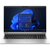 Ноутбук HP ProBook 450 G10 (9Y7G3ET) Pike Silver 16/256GB CUSTOM