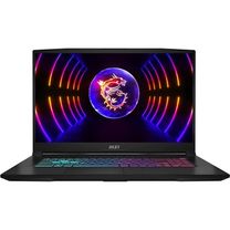 Ноутбук MSI Katana 17 B13VEK (B13VEK-1449XPL) Black
