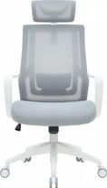 Офісне крісло OfficePro Harmony OC310-W-LG-LG White/Light Gray