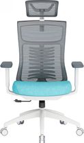 Офисное кресло OfficePro Balance OC550-W-DG-BL