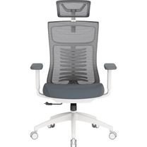 Офісне крісло OfficePro Balance OC550-W-DG-DG White/Dark Gray