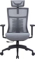 Офісне крісло OfficePro Balance OC620-B-DG-DG