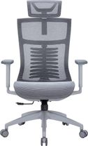 Офісне крісло OfficePro Balance OC620-G-DG-DG