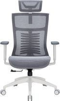 Офісне крісло OfficePro Balance OC620-W-DG-DG
