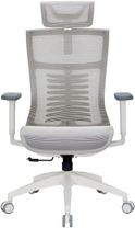 Офісне крісло OfficePro Balance OC620-W-LG-LG