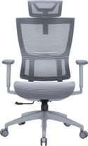 Офісне крісло OfficePro Elegant OC660-G-DG-DG