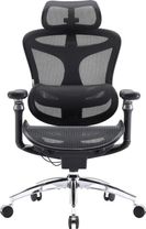 Офісне крісло Sihoo DORO C300 Pro Mesh Black (DORO-C300-PRO-M101)