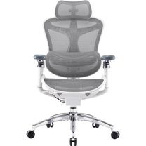 Офісне крісло Sihoo DORO C300 Pro Mesh White (DORO-C300-PRO-M102)