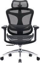 Офісне крісло Sihoo DORO C300L Mesh Black (DORO-C300L-A3-101)