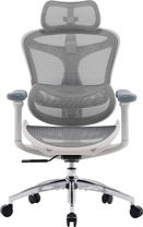 Офісне крісло Sihoo DORO C300L Mesh White (DORO-C300L-A3-102)