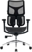 Офісне крісло Sihoo DORO S100 Mesh Black (S100-M301)