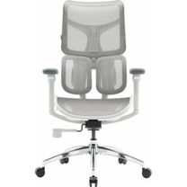 Офісне крісло Sihoo DORO S100 Mesh White (S100-M302)