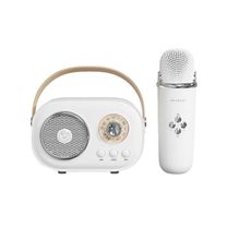 Портативная колонка с микрофоном Smart X C20W